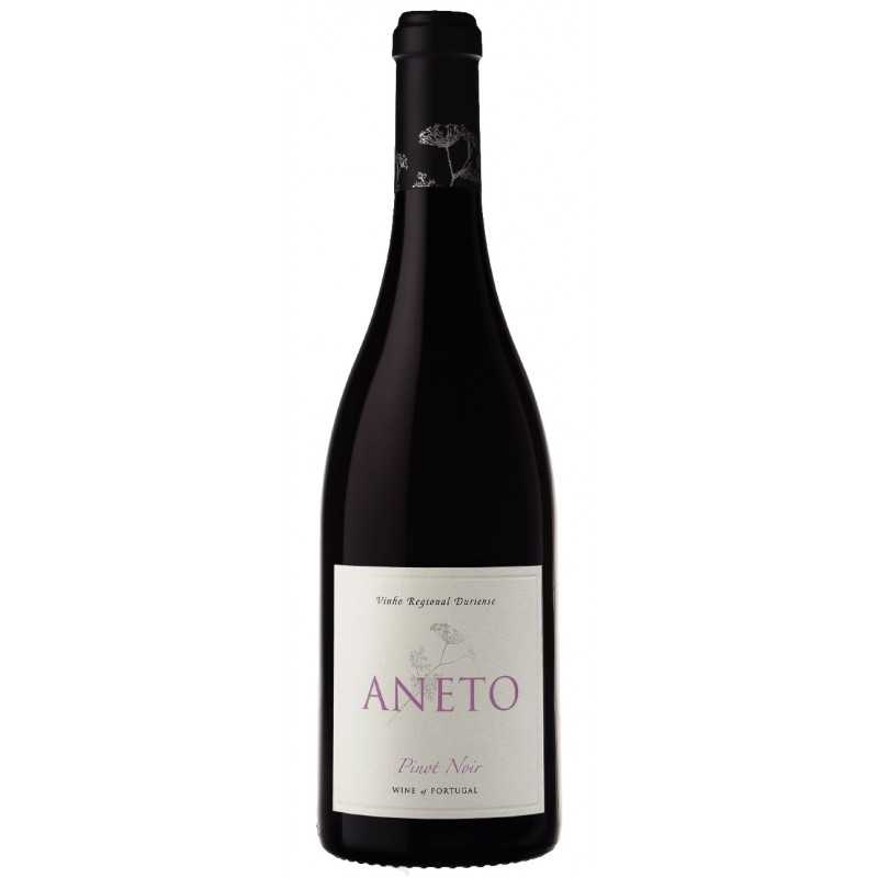 Aneto Pinot Noir Rotwein