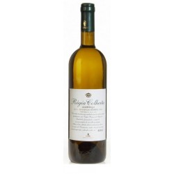 Regia Colheita Reserva 2015 White Wine