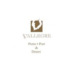 Vallegre Reserva 2013 Weißwein