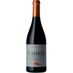 Cabriz Reserva 2013 Red Wine