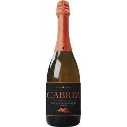 Cabriz Bruto 2013 Sparkling White Wine